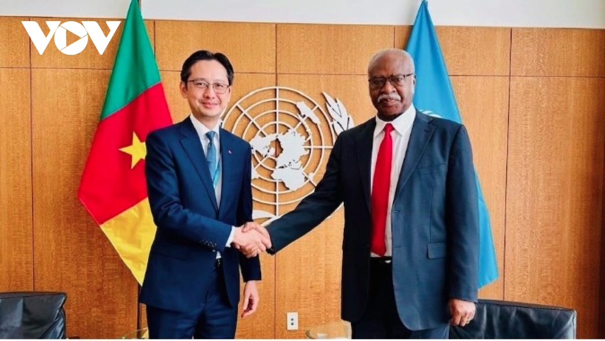 UN hails Vietnam’s consistent support for multilateralism and international law